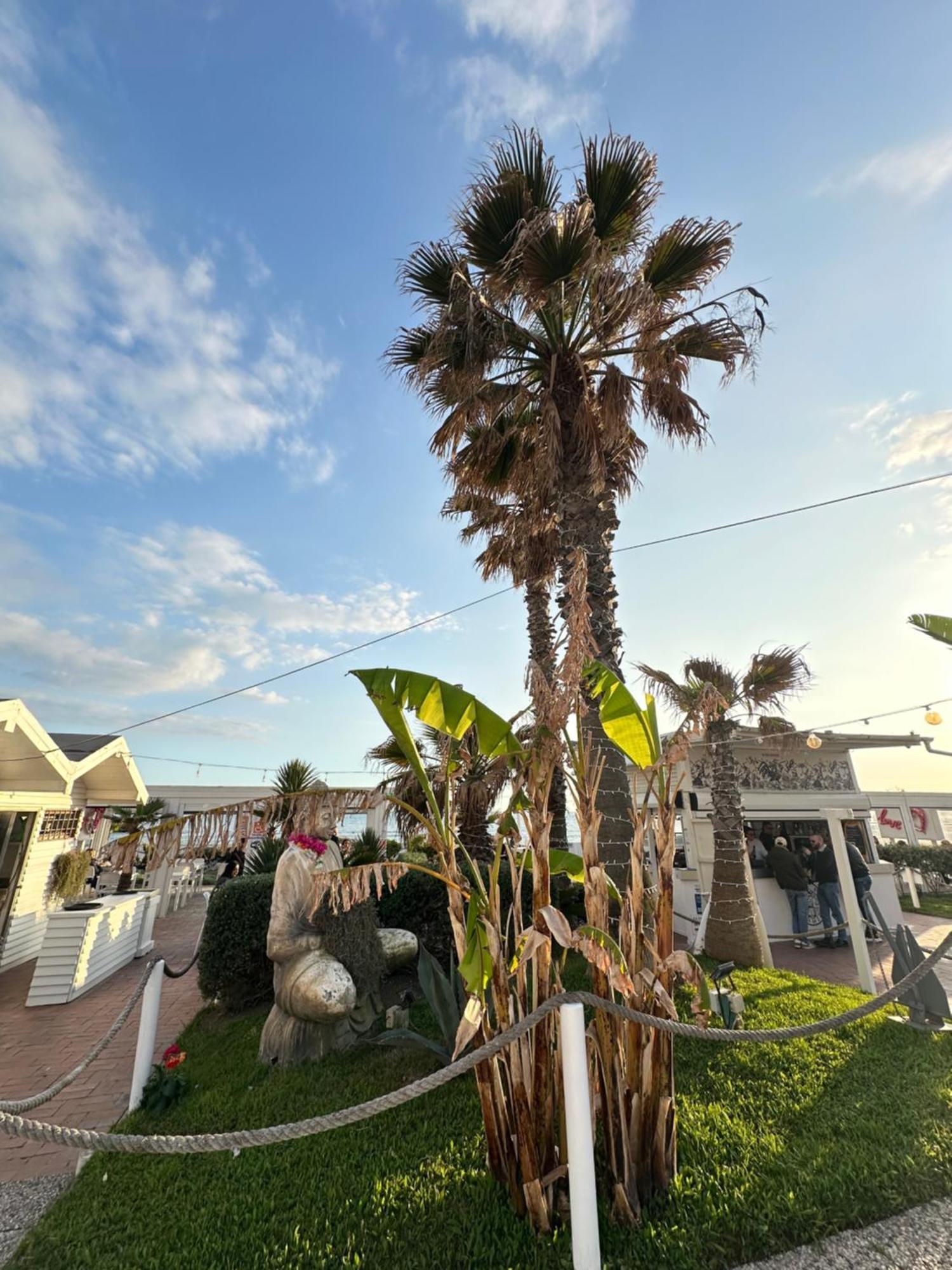 Penthouse Salus Sea View Terrace Apartment Lido di Ostia Bagian luar foto