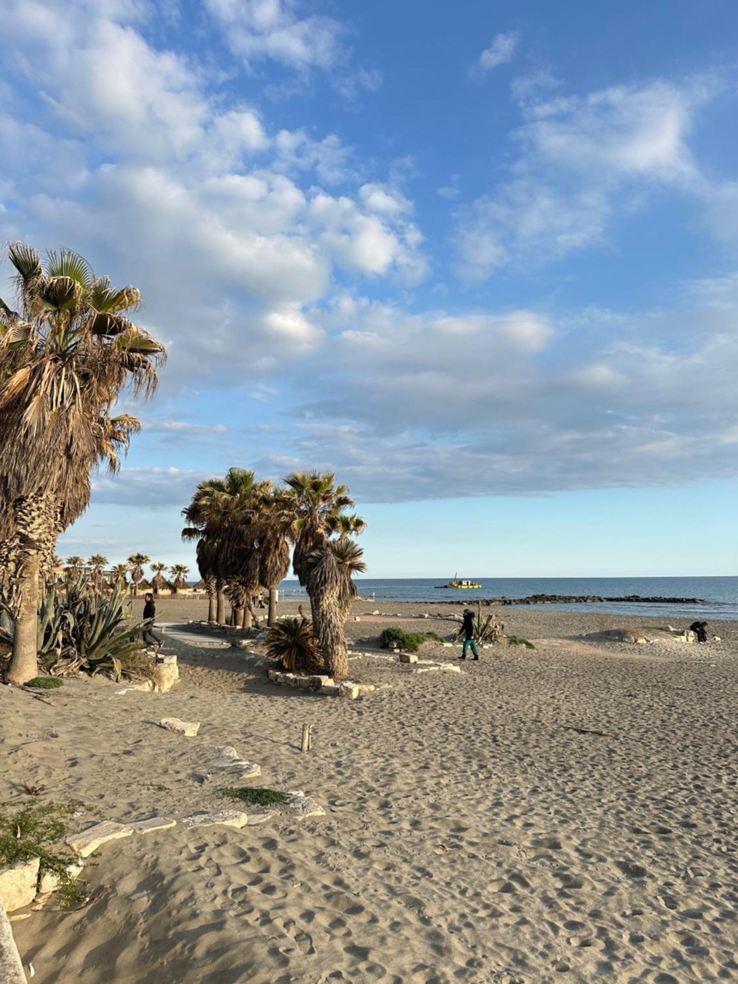 Penthouse Salus Sea View Terrace Apartment Lido di Ostia Bagian luar foto
